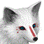 Shiiva_